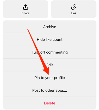 Instagram Pin to Profile feature 